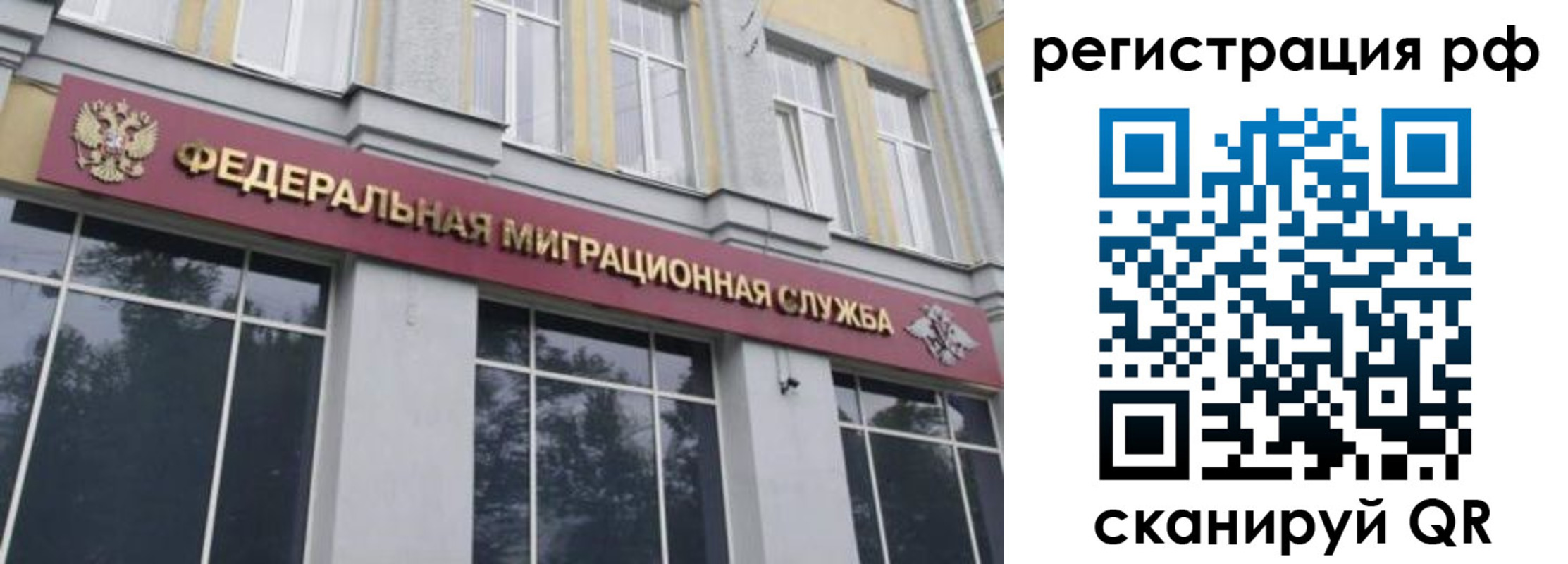 прописка законно в Бердске